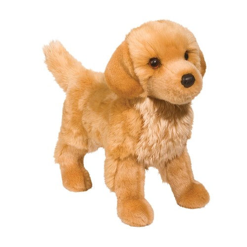 Douglas king golden - king, retriever