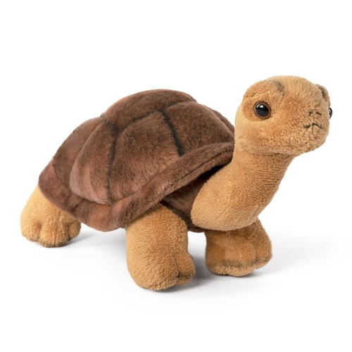 Tortoise plush soft toy animal - tortoise,