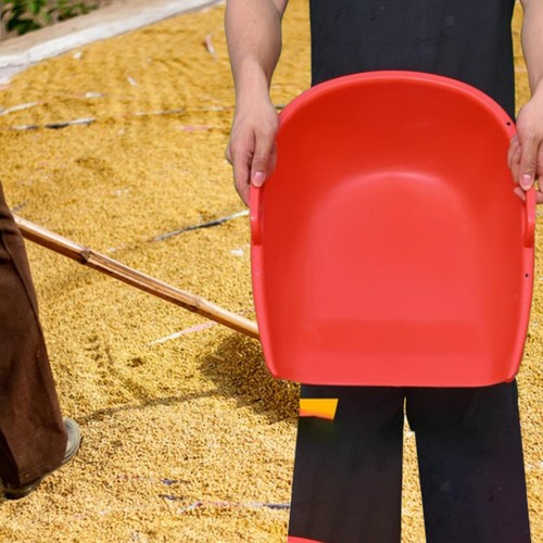 Trash cleaning dustpan - cleaning,