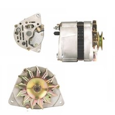 Ford Escort RS2000 Mk1 & Mk2