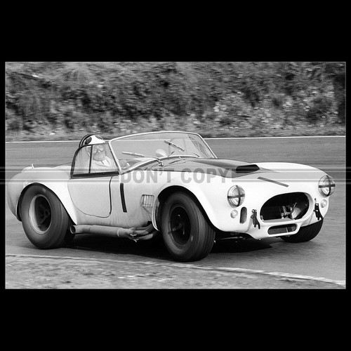 Photo 033402 shelby cobra - shelby,