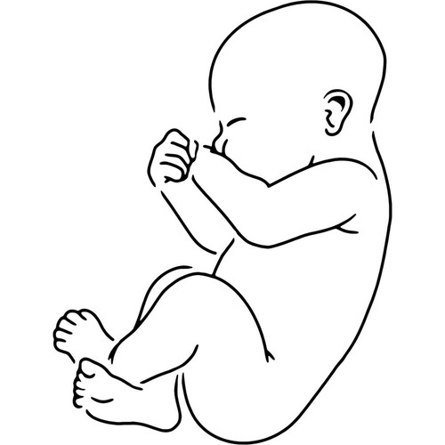 Sleeping newborn baby - 'sleeping,