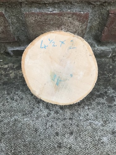 Sycamore bowl blank - bowl, 1/2”