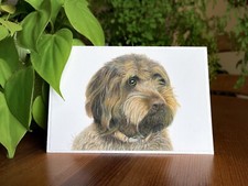 Chocolate Cockapoo Print, Greeting Card which can be Customised for any Occasion
