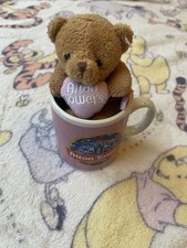 Alton Towers Kids Small Pink