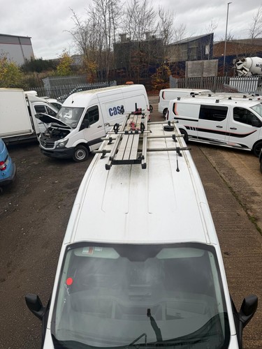 Rhino safestow4 ladder roof - rhino,