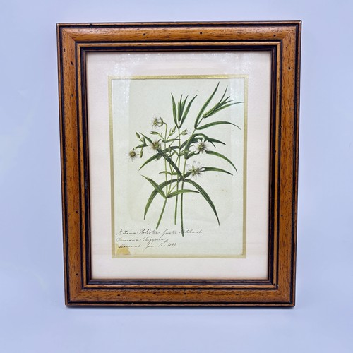 Vintage wood framed mat - framed, w/mat