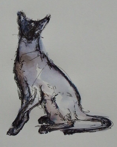 Ink drawing cat sitting - drawing,