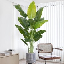  Artificial Bird of Paradise Plant- Outdoor 200cm Fake Tropical -AUCTION