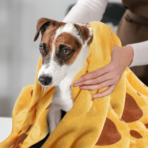 2pcs pet dog towels microfibre - 2pcs,