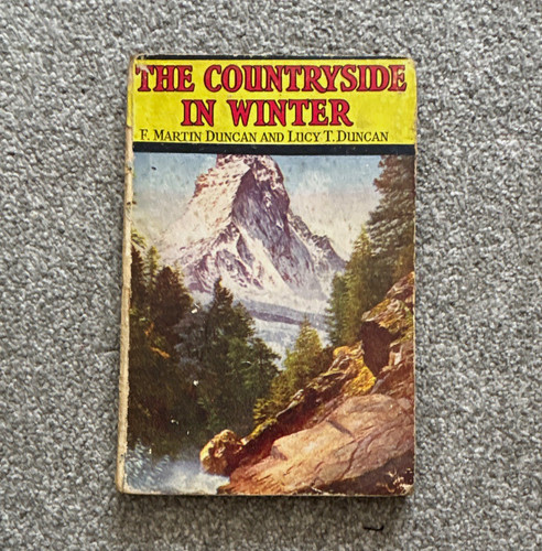 The countryside winter f - the,