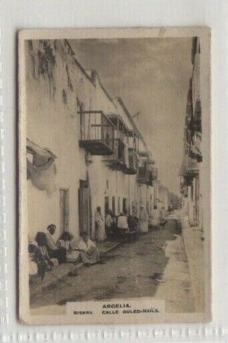 Scenic cuban cigar - ,