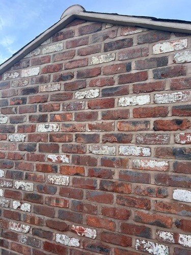 Reclaimed wirecut bricks - reclaimed,
