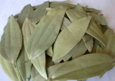 ****Top Quality Bay Leaves x