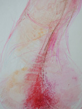 Hand Drawn Coloured Pencil