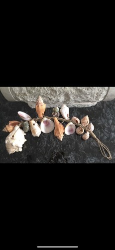 Beach sea shell hang home - beach,
