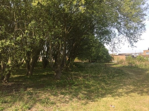 Photo 6x4 desire line lasswade - photo,