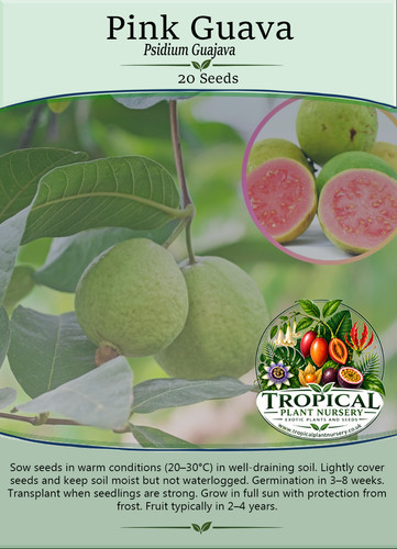 Pink guava - pink, (psidium