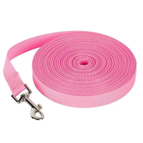 Extra long dog training - training, recall