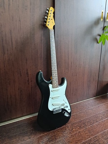 Premium s500 electric - g&l,