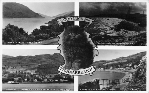 Good luck tighnabruaich - luck,