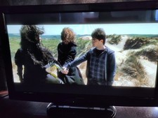 Panasonic Viera TX-P46S20B