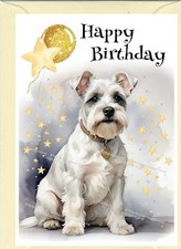 Miniature Schnauzer Dog