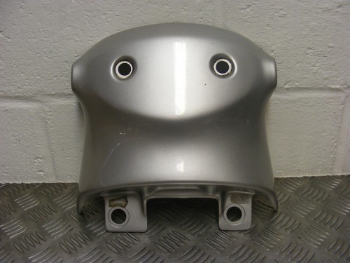 Tiger 955 panel tail - tiger,