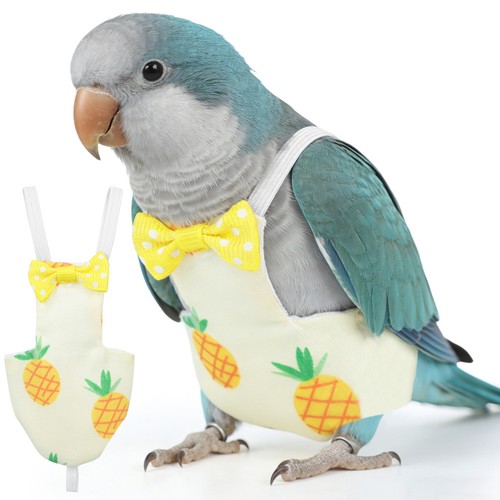 Creative pet bird clothes - creative,