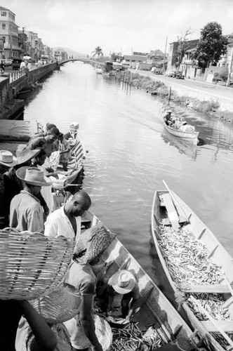 Some men buying freshly - , caught