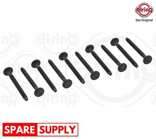 Bolt kit cylinder head - cylinder,