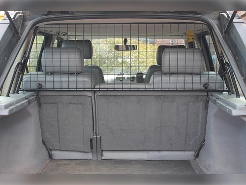 Half height mesh - mesh, dog