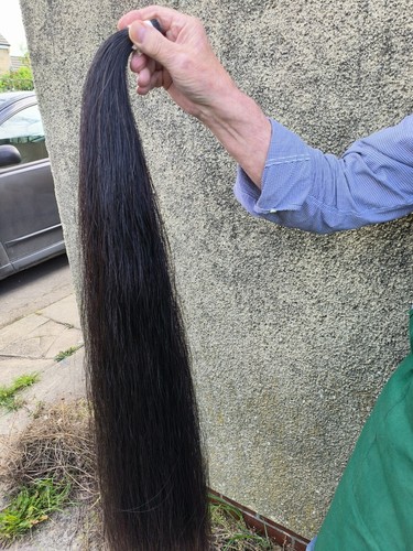 Rocking horse tail hair best - tail,