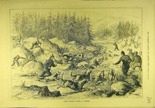 Original old antique print - original,
