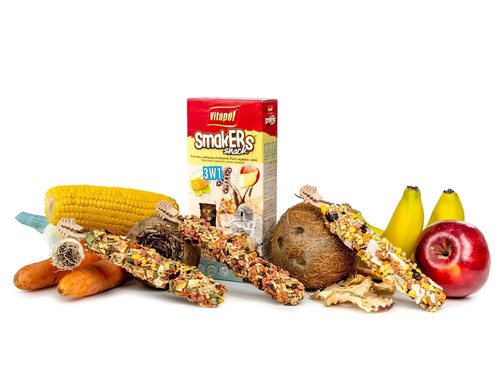 Treat snack food rabbit - treat,