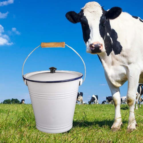 Enamel bucket rice - bucket,