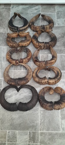 Pairs ram horns - 10,