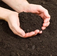 Compost Soil - 50/50 Mix Potting Soil DERBY BURTON UTTOXETER ALFRETON