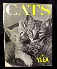 Cats by Ylla -Vintage 1960