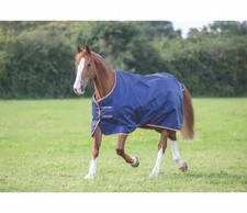 Shires Original Horse Turnout
