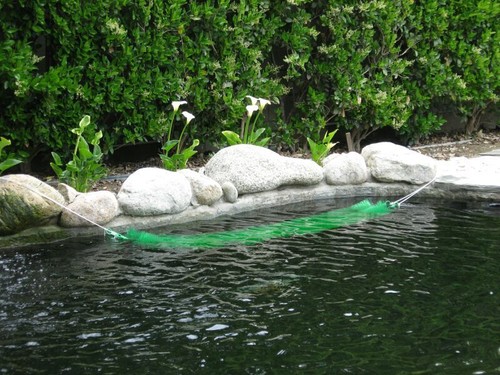 Fish spawning brush huge - 1x,