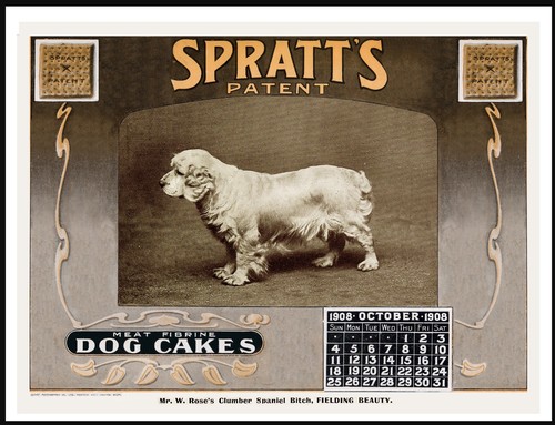 Clumber spaniel vintage style - spaniel,