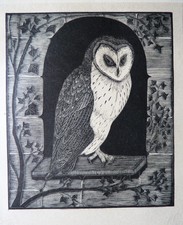 Wood-engraving. 'The White ( or Barn) Owl' by Eric Fitch Daglish, 1926. on japan