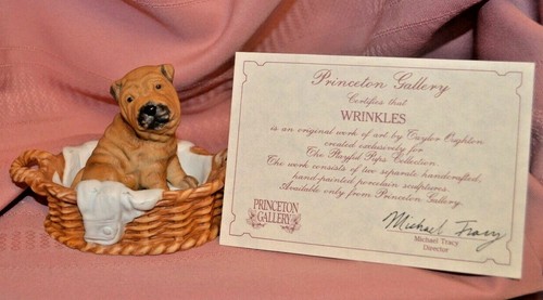 Princeton gallery playful pups - princeton,