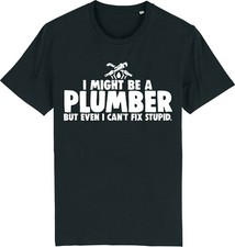 I Might Be a PLUMBER But I