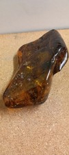 Baltic Amber