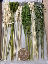 POSY BOUQUET 50-60 STEMS DRIED FLOWERS PRETTY GREEN & BLEACHED EASTER GIFT 12''