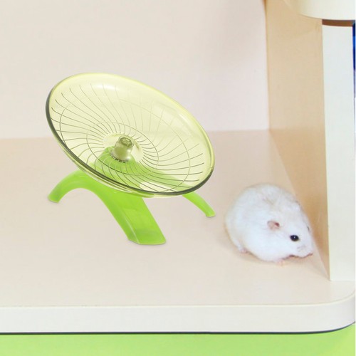Hamster exercise wheel - exercise,