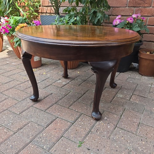 Vintage queen anne burr - queen, walnut