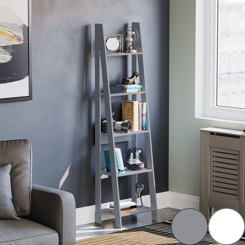 Ladder shelving unit - ladder, shelf